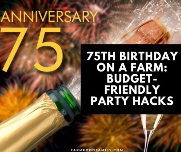 75th-birthday-on-a-farm-budget-friendly-party-hacks-cloud